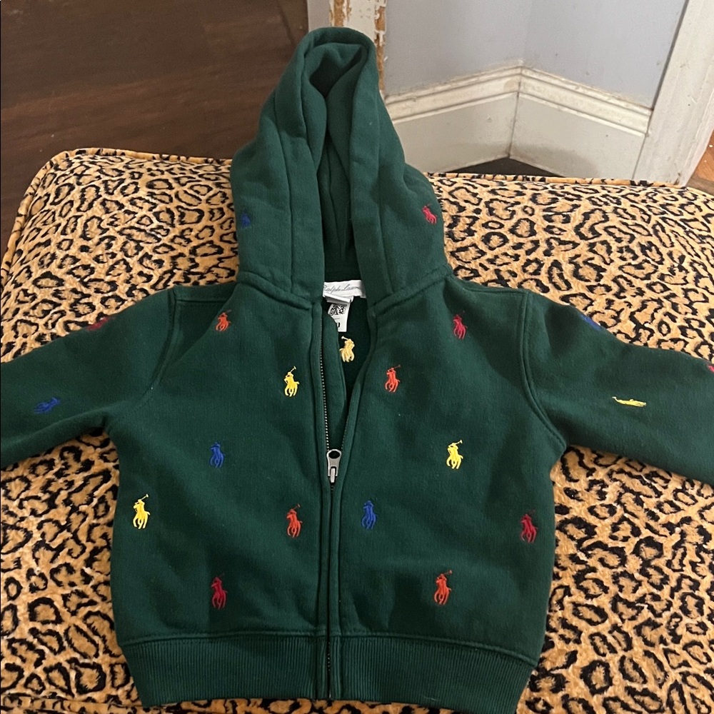 Polo by Ralph Lauren Green Infant 9month Hoodie with Colorful Embroidery